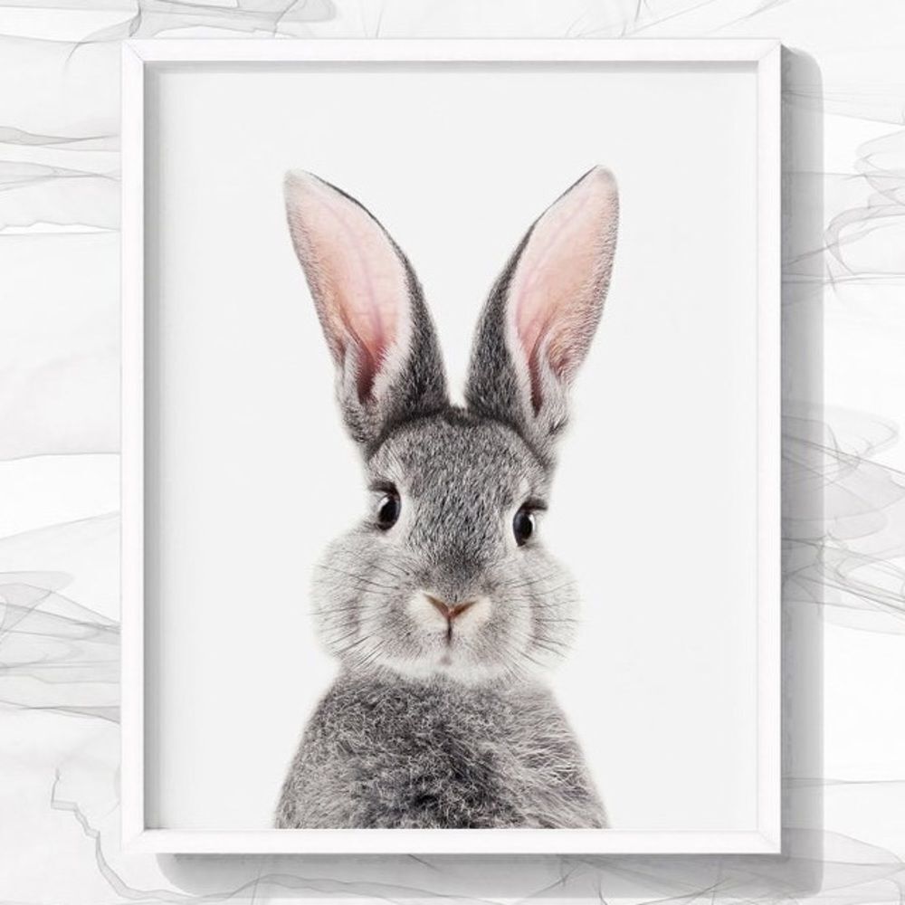 Bunny 8x10 Print